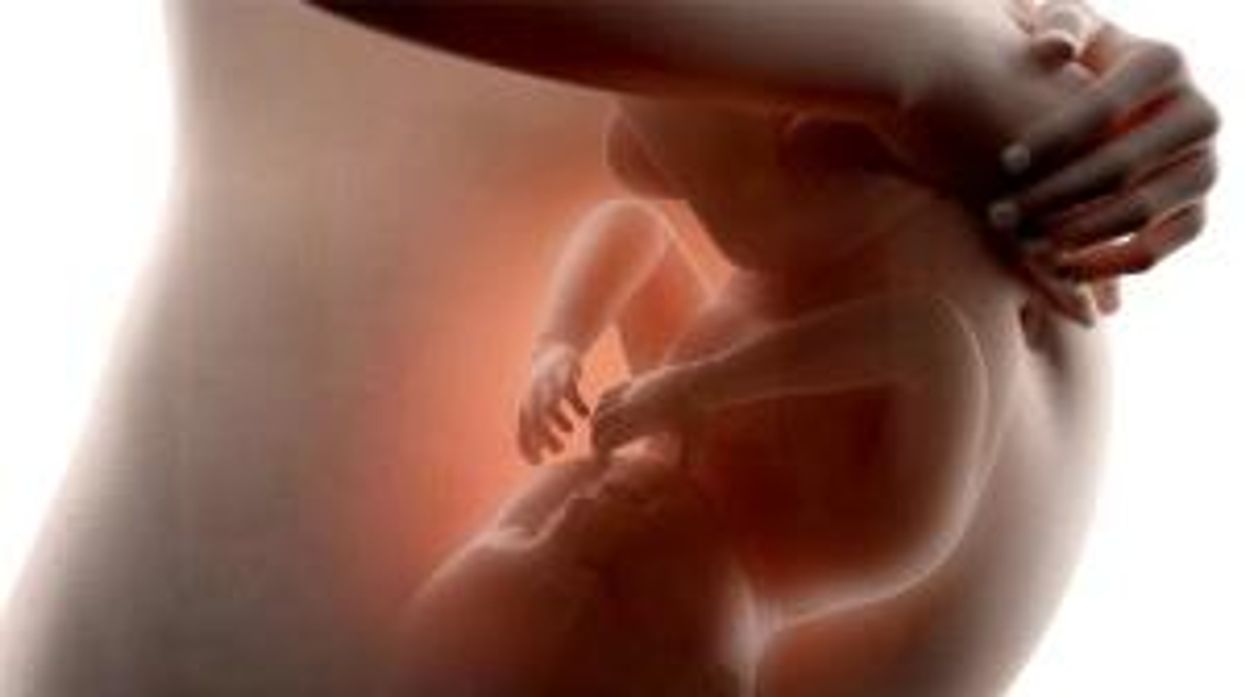 Scientist unveils prospect of human ‘factory’ growing thousands of babies a year