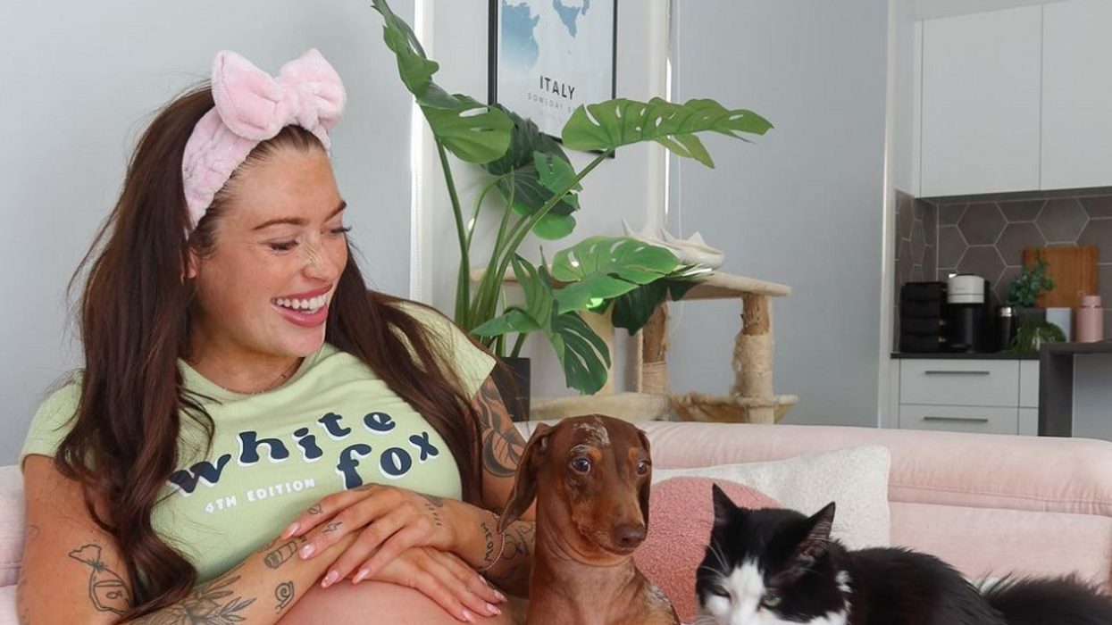 Influencer quits social media after admitting she killed two cats