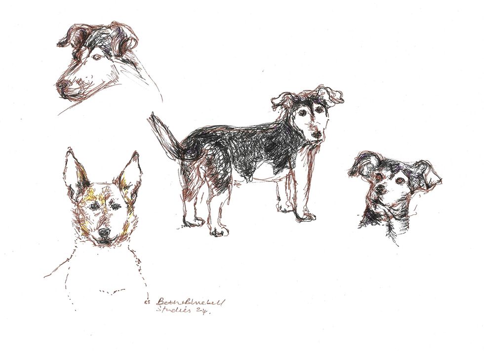 Emma Stothard's Beth & Bluebell willow sculpture studies