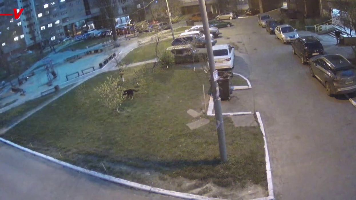 Mysterious white light over Kyiv sparks numerous theories