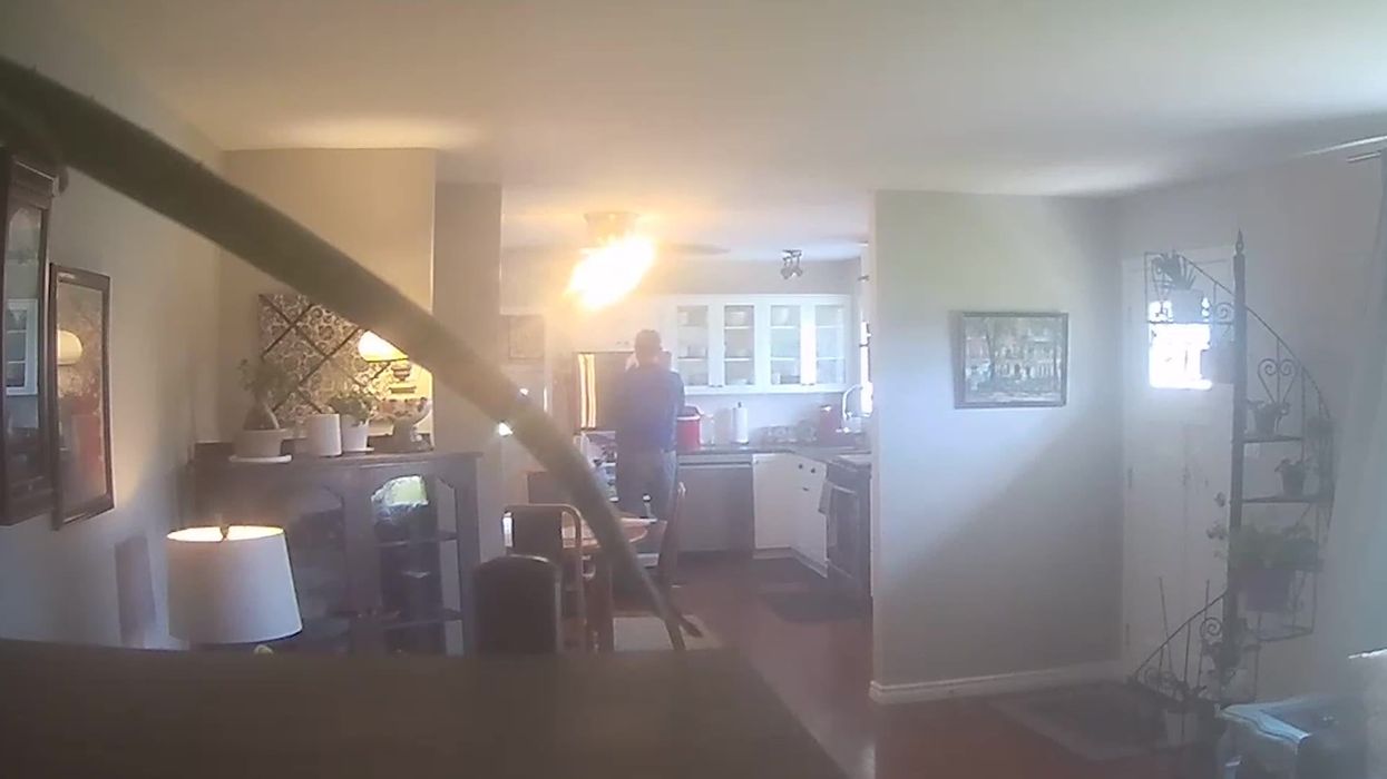 Estate agent filmed on home CCTV drinking client's milk from fridge