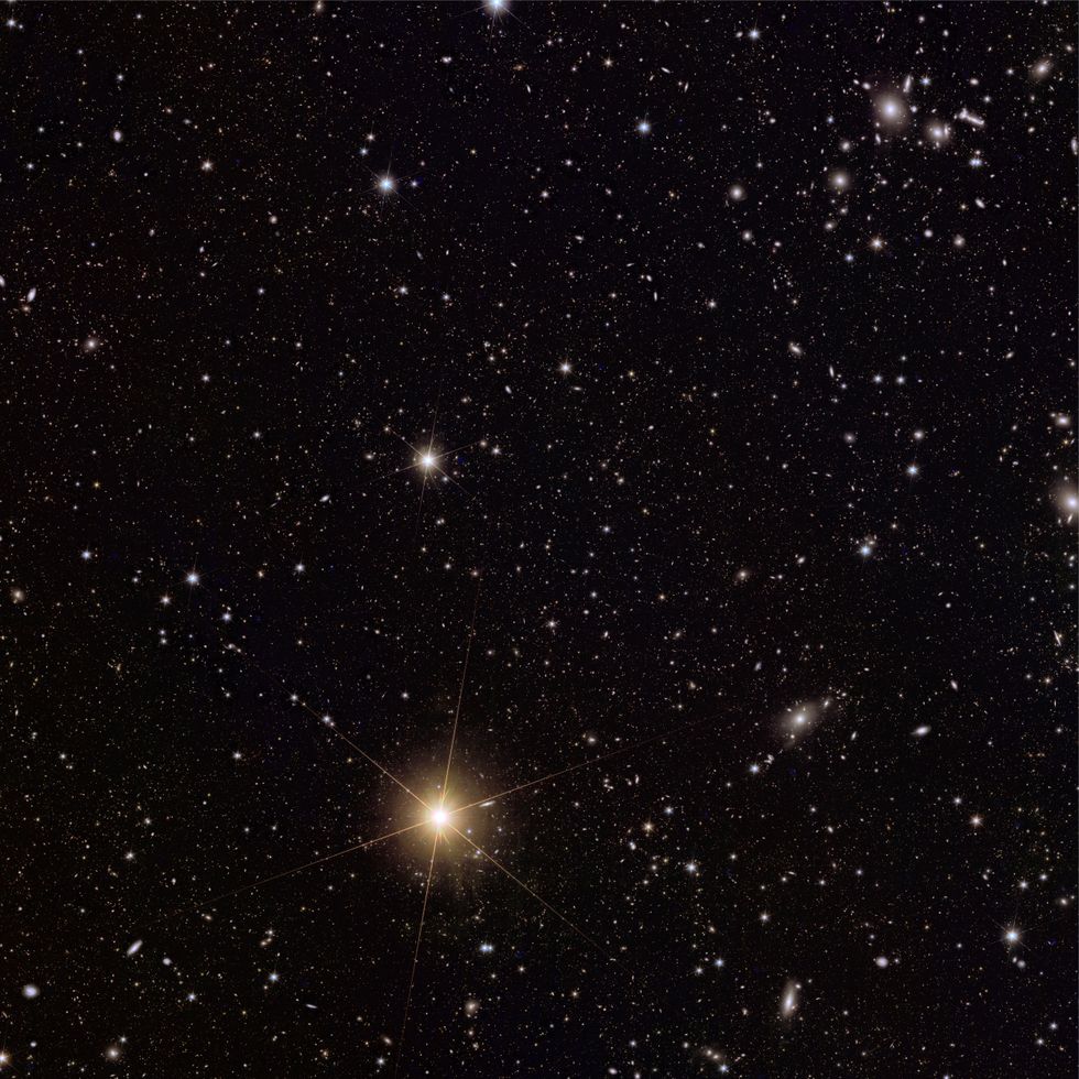 Euclid\u2019s new view of galaxy cluster Abell 2764,