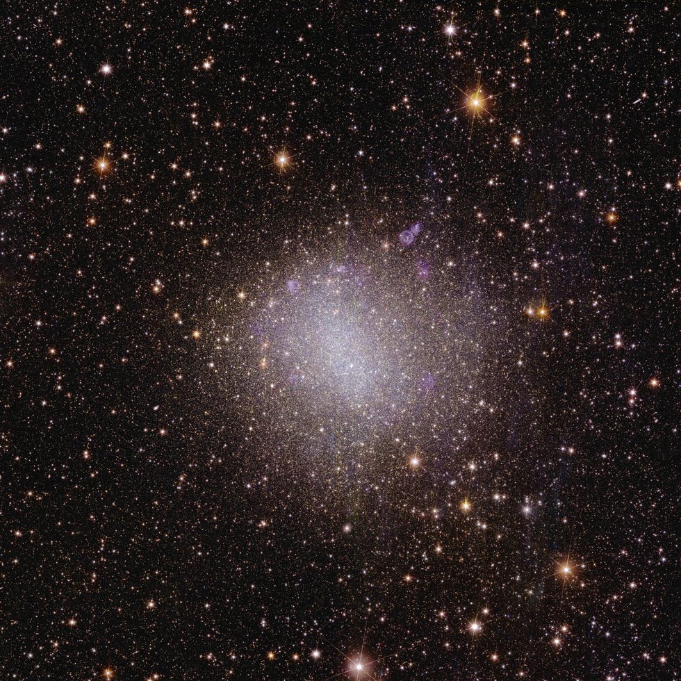 Euclid\u2019s view of irregular galaxy NGC 6822