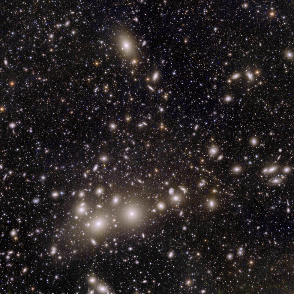 Euclid\u2019s view of the Perseus cluster of galaxies