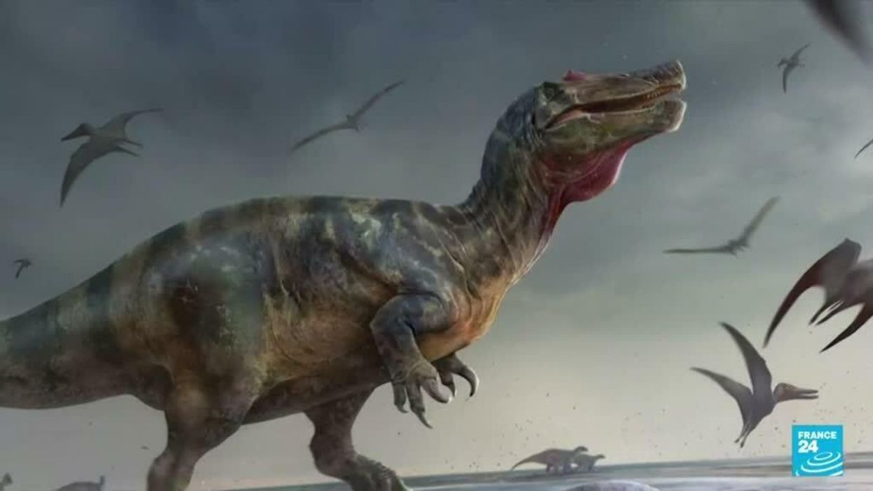 UK monster is everyone's new favourite dinosaur