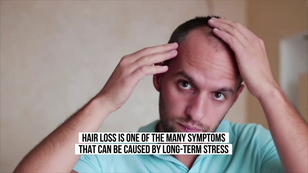 Scientists discover ancient biology that could prevent hair loss in future