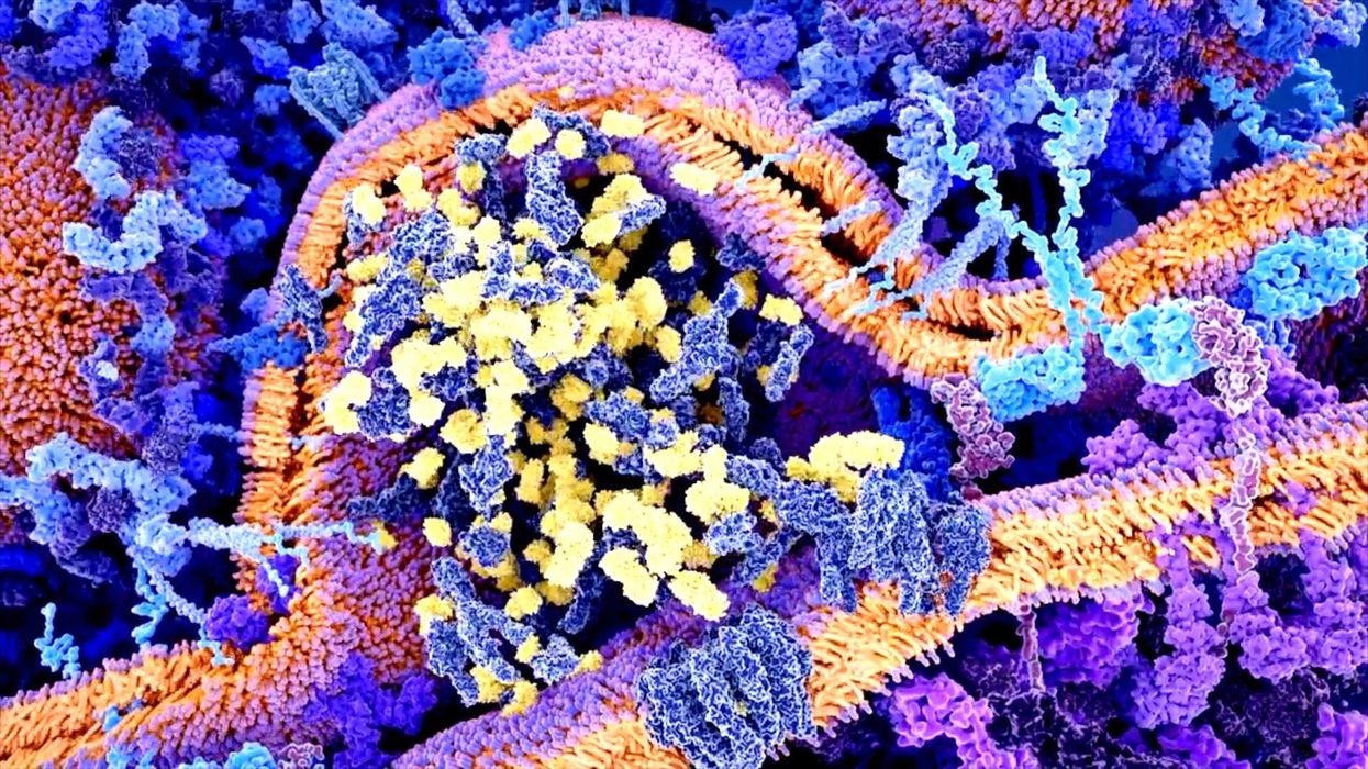 Human skin cells silently 'scream' to communicate with each other say scientists