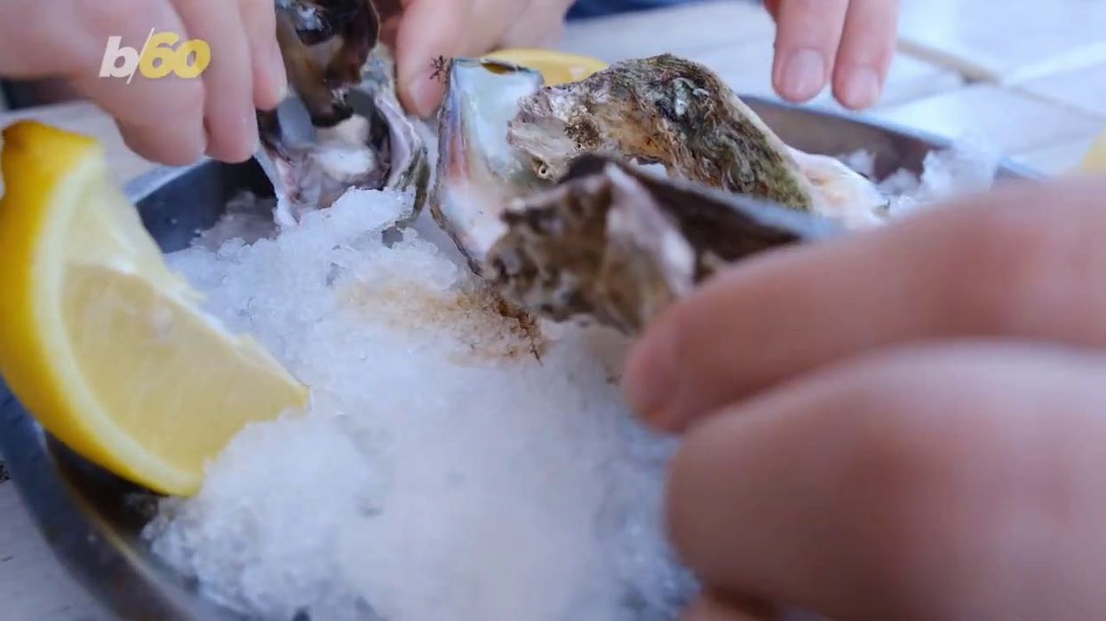Man dies from flesh-eating bacteria after eating oysters