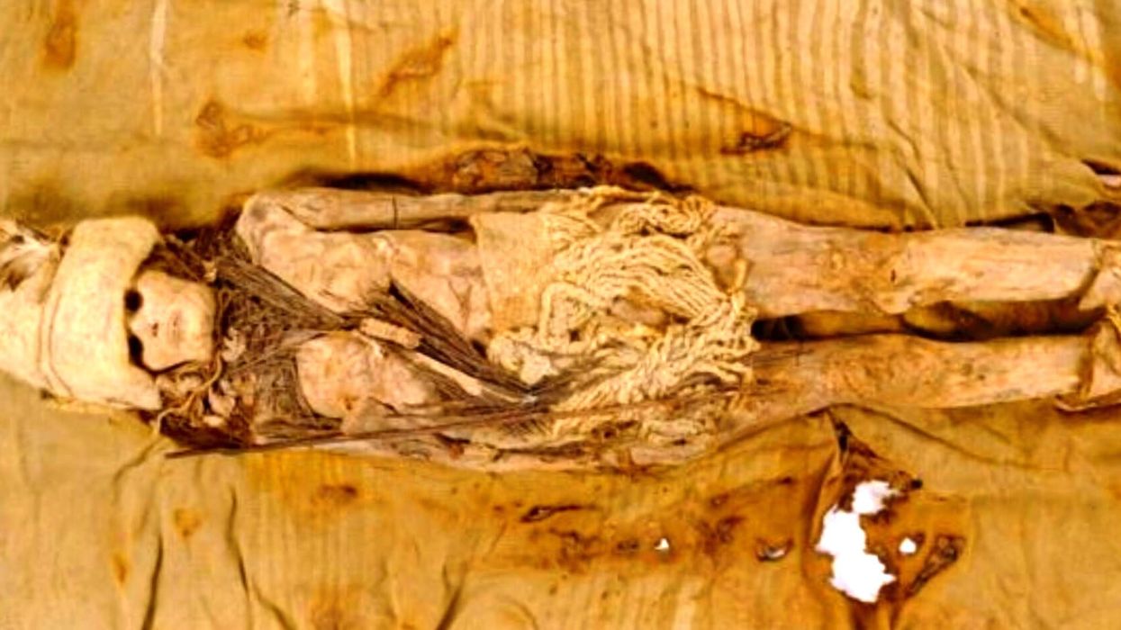World's oldest piece of cheese found on Chinese mummy