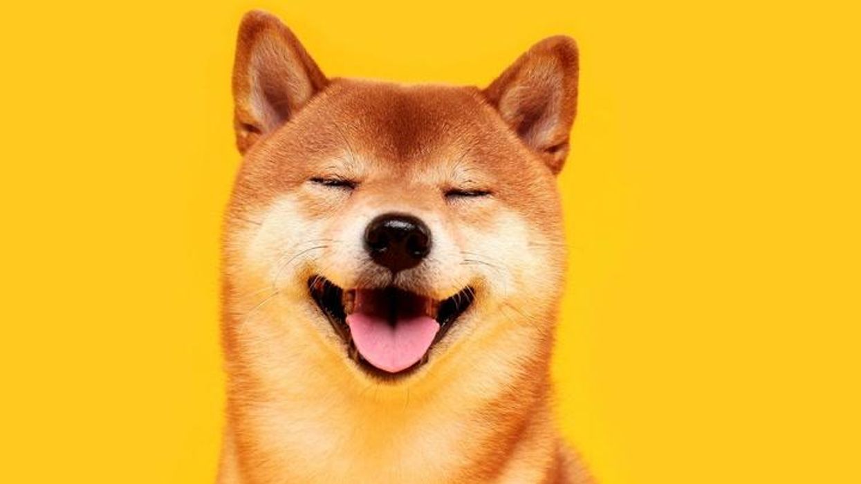 Why has Dogecoin just soared in value?