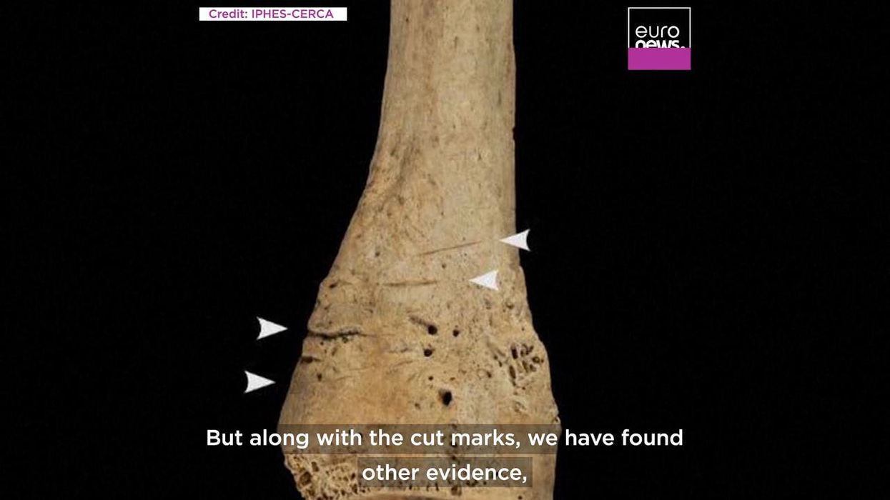Ancient discovery proves disturbing practice was far more common than previously thought