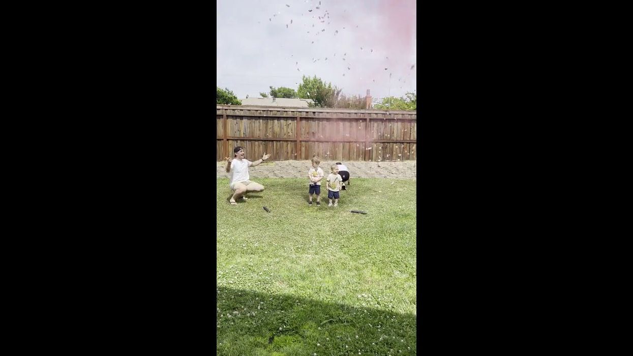 Couple lets their dog pick child's gender through a game of catch