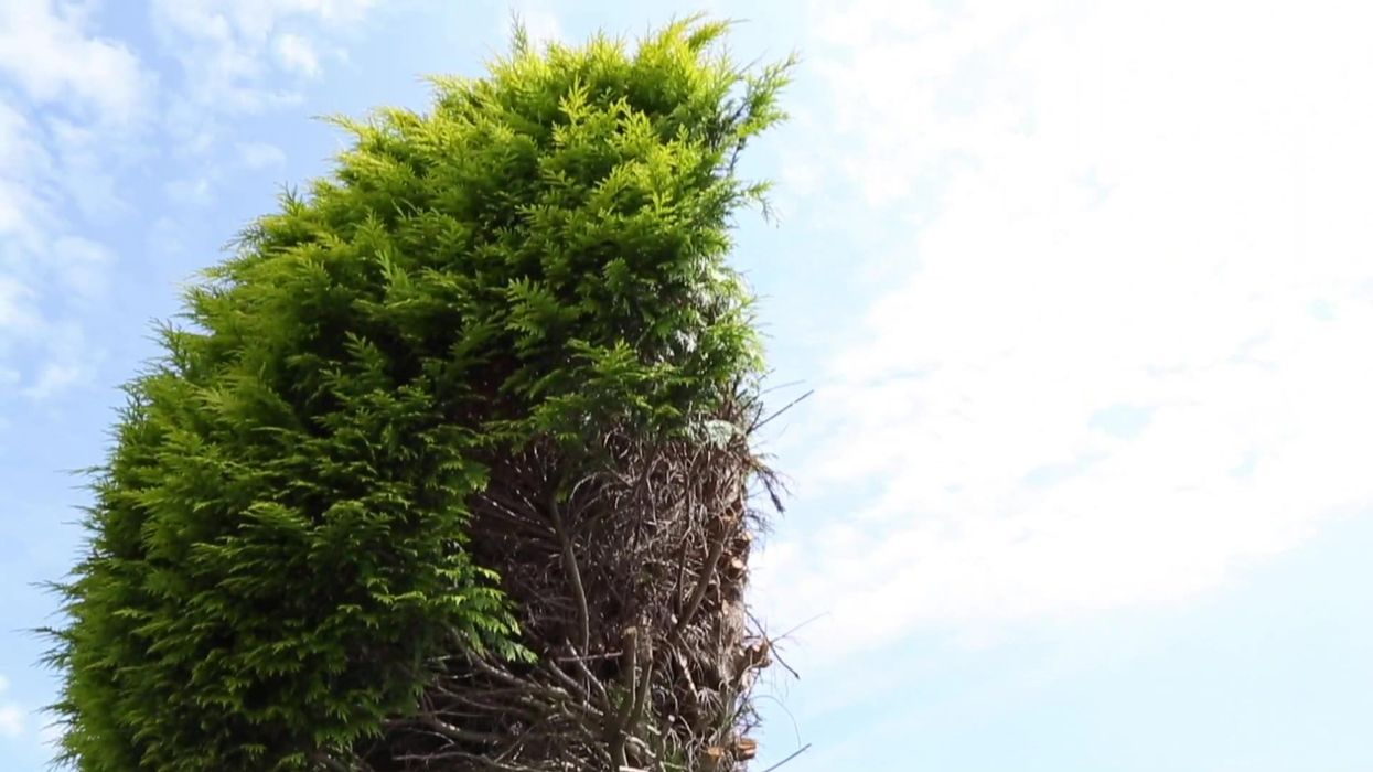 This guy's story of petty revenge against noisy neighbours is brilliant