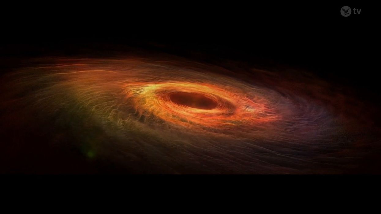 Terrifying simulation shows what happens to our bodies when they fall into a black hole