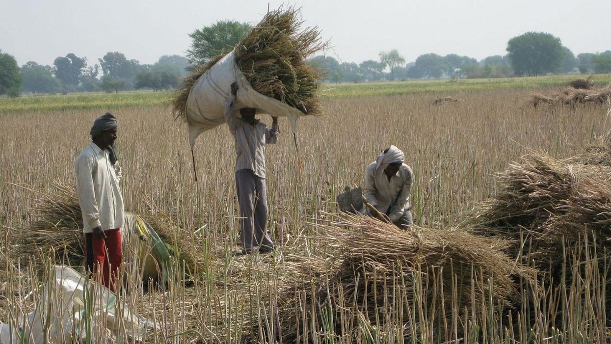 Farm workers in Madhya Pradesh