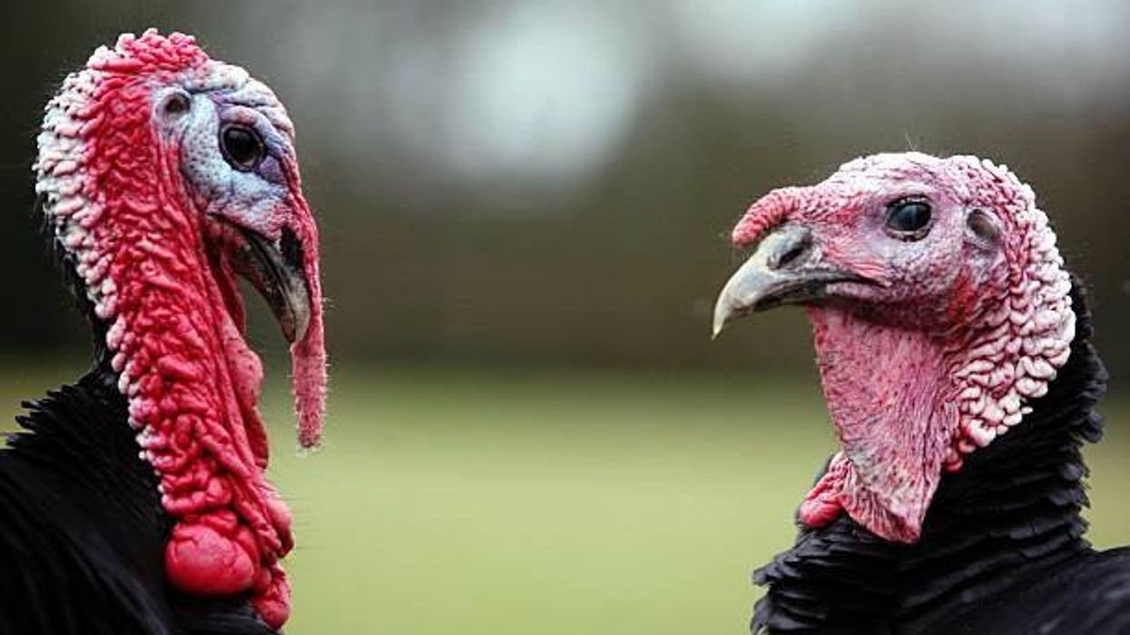 M&S chocolate 'Jenga' game divides opinion