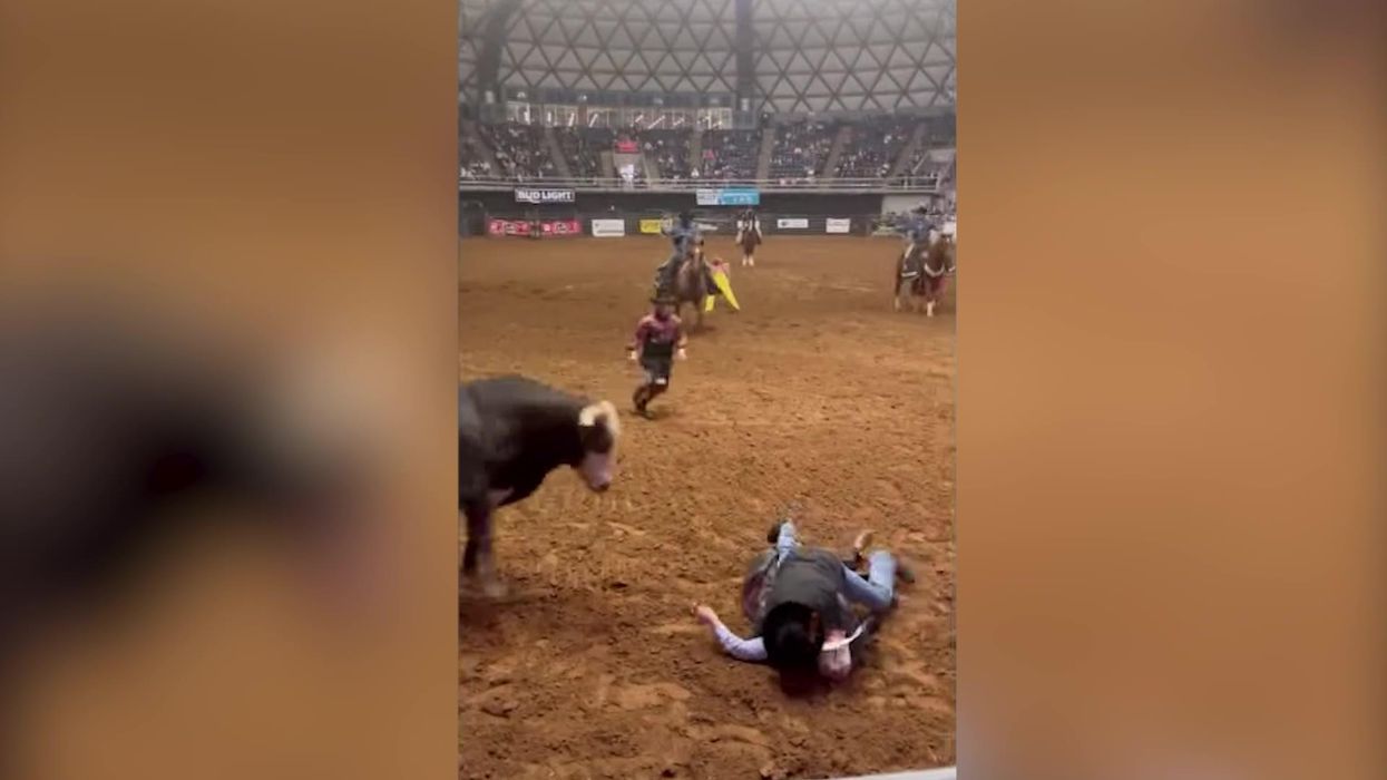 Shocking footage shows Dad put his body on the line to protect son from rampaging bull