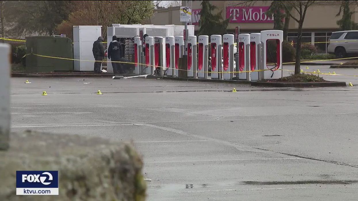 The real impact on Tesla sales as Elon Musk continues to face backlash