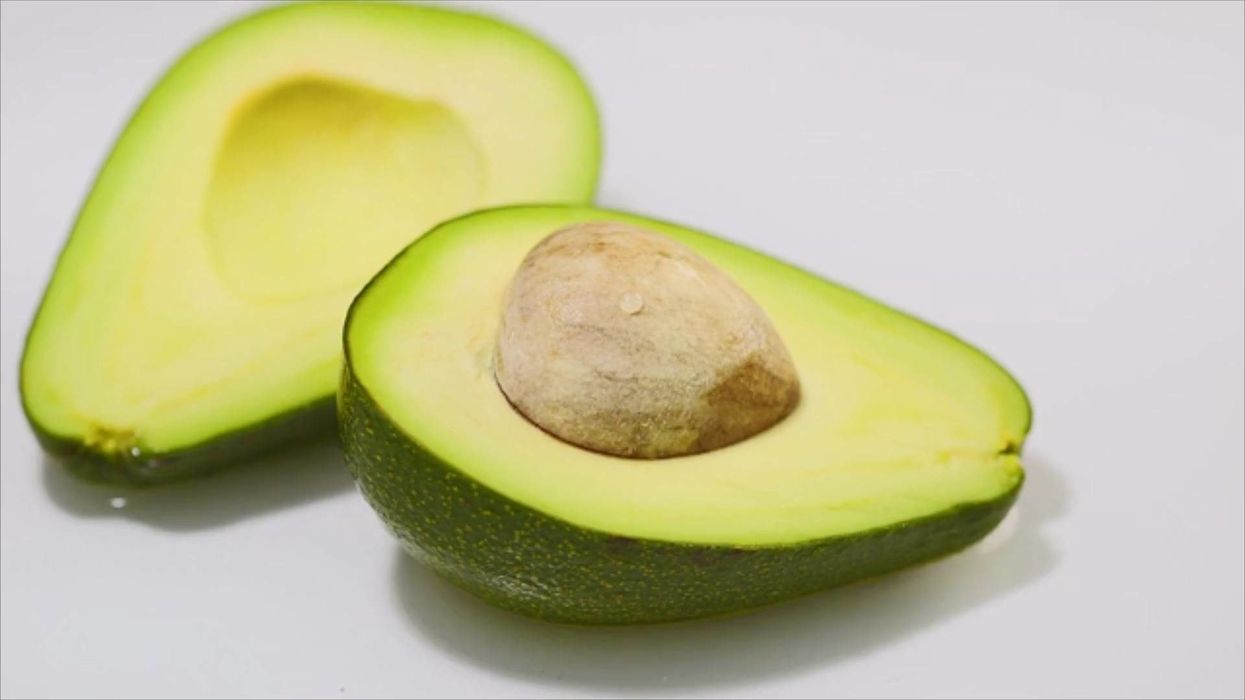 This slice of avocado on toast looks exactly like Jabba the Hutt