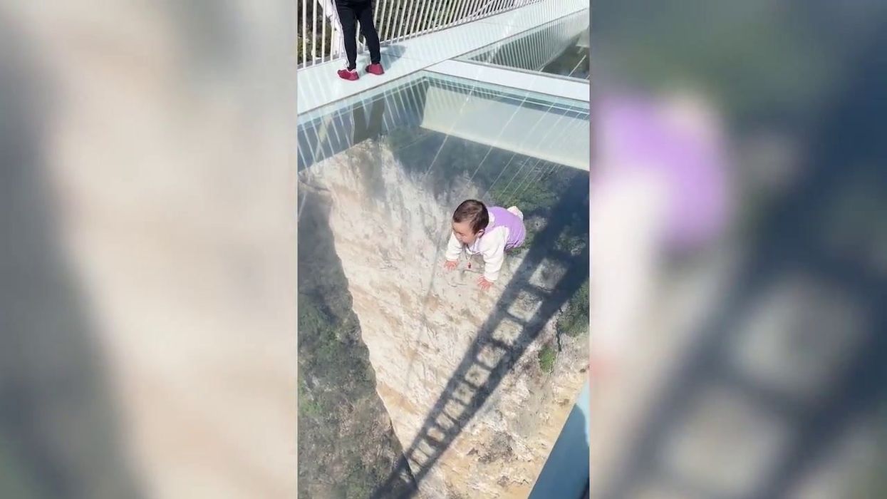 Fearless toddler casually crawls over glass bridge with 1,000-foot drop