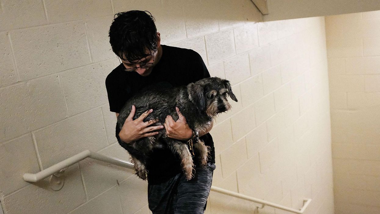 Fernando Oropeza walks up the stairs after taking his dog Simon out for a walk at a hotel on September 10, 2017 in Fort Myers, Florida. With businesses closed, thousands in shelters and a mandatory evacuation in coastal communities, the Fort Myers area prepares for a possibly catastrophic storm.
