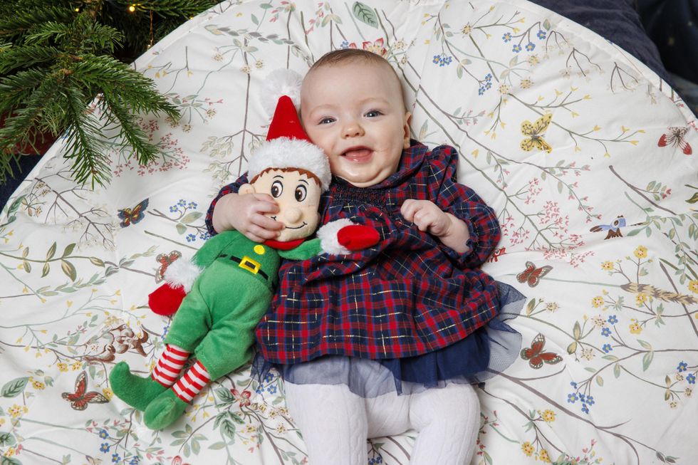 Fiadh lying down and holding a cuddly Christmas elf