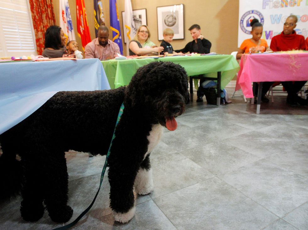 FILE PHOTO: First dog Bo and U.S. First lady Michelle Obama visit military families before Easter at Fisher House in Maryland