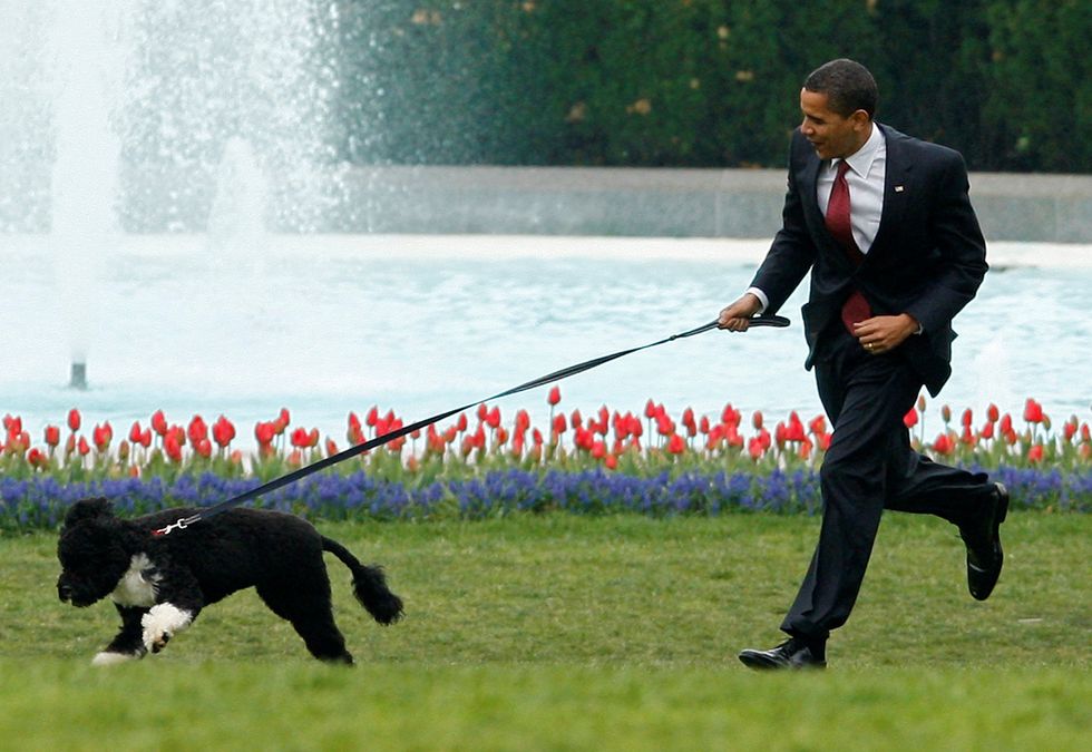 FILE PHOTO: U.S. President Barack Obama runs with his new pet dog Bo on the South Lawn at the White House in Washington