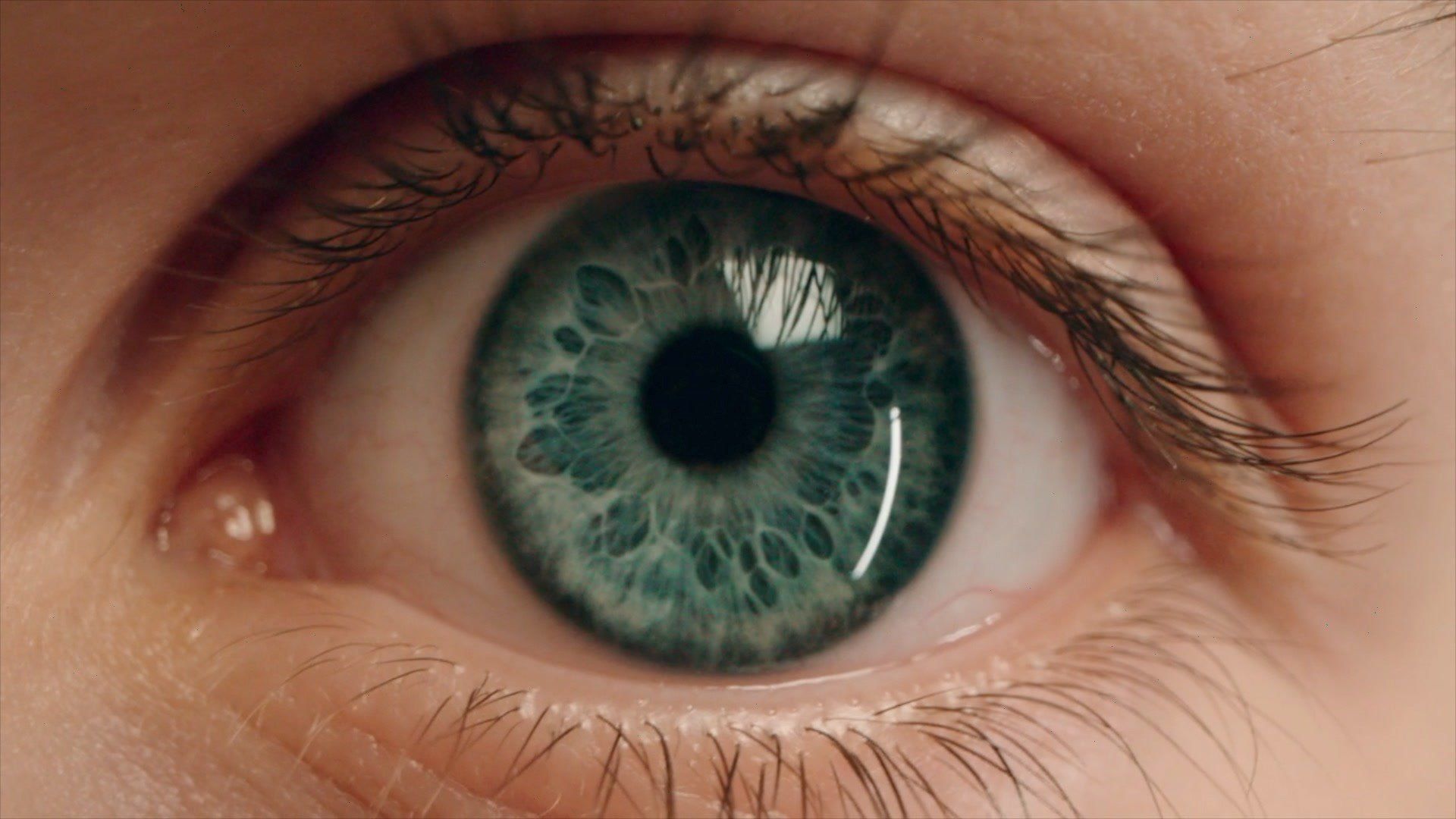 How to do the 'eye color chart' TikTok trend indy100