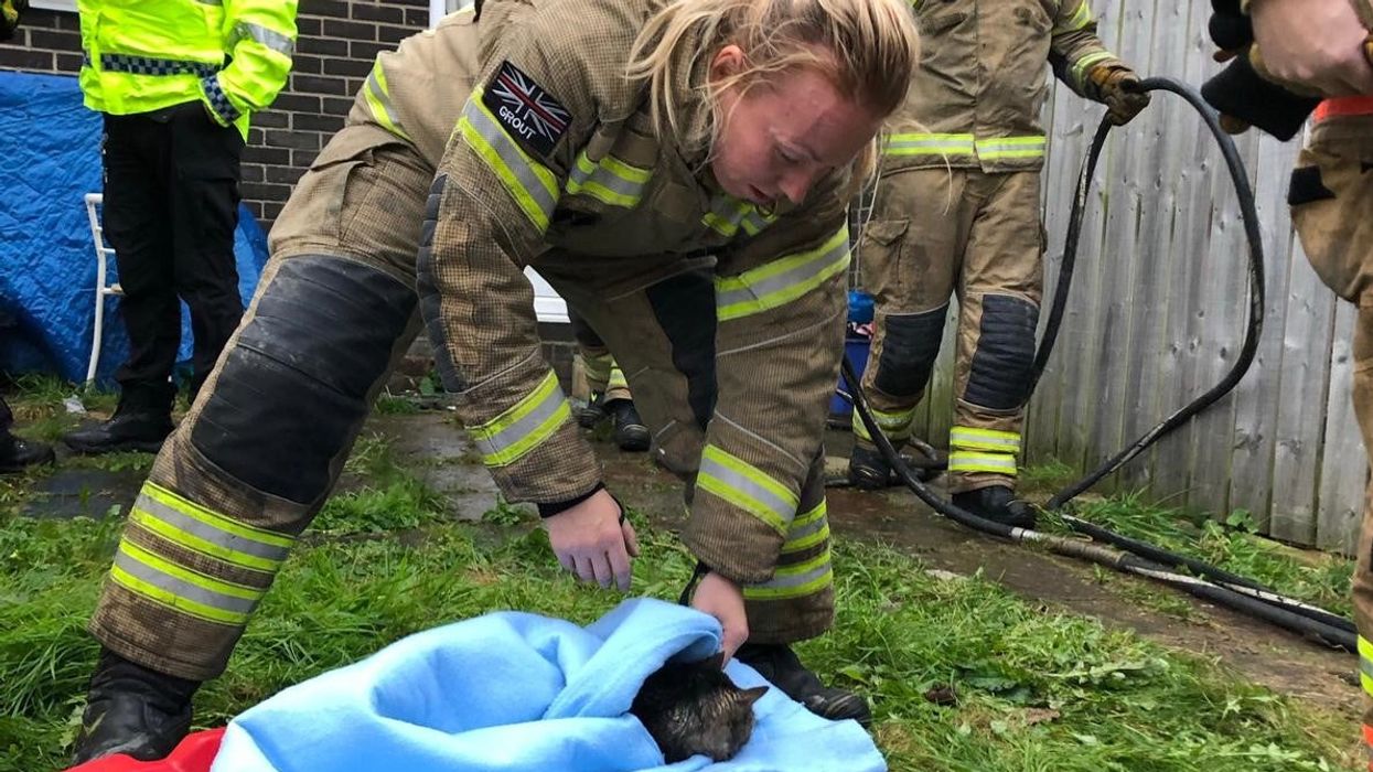 Firefighters revived a pet cat which they found unconscious in a burning house (PA)