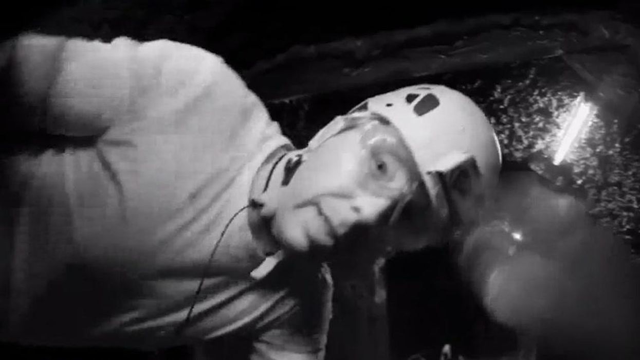 I'm A Celeb first preview sees Matt Hancock screeching during first bushtucker trial