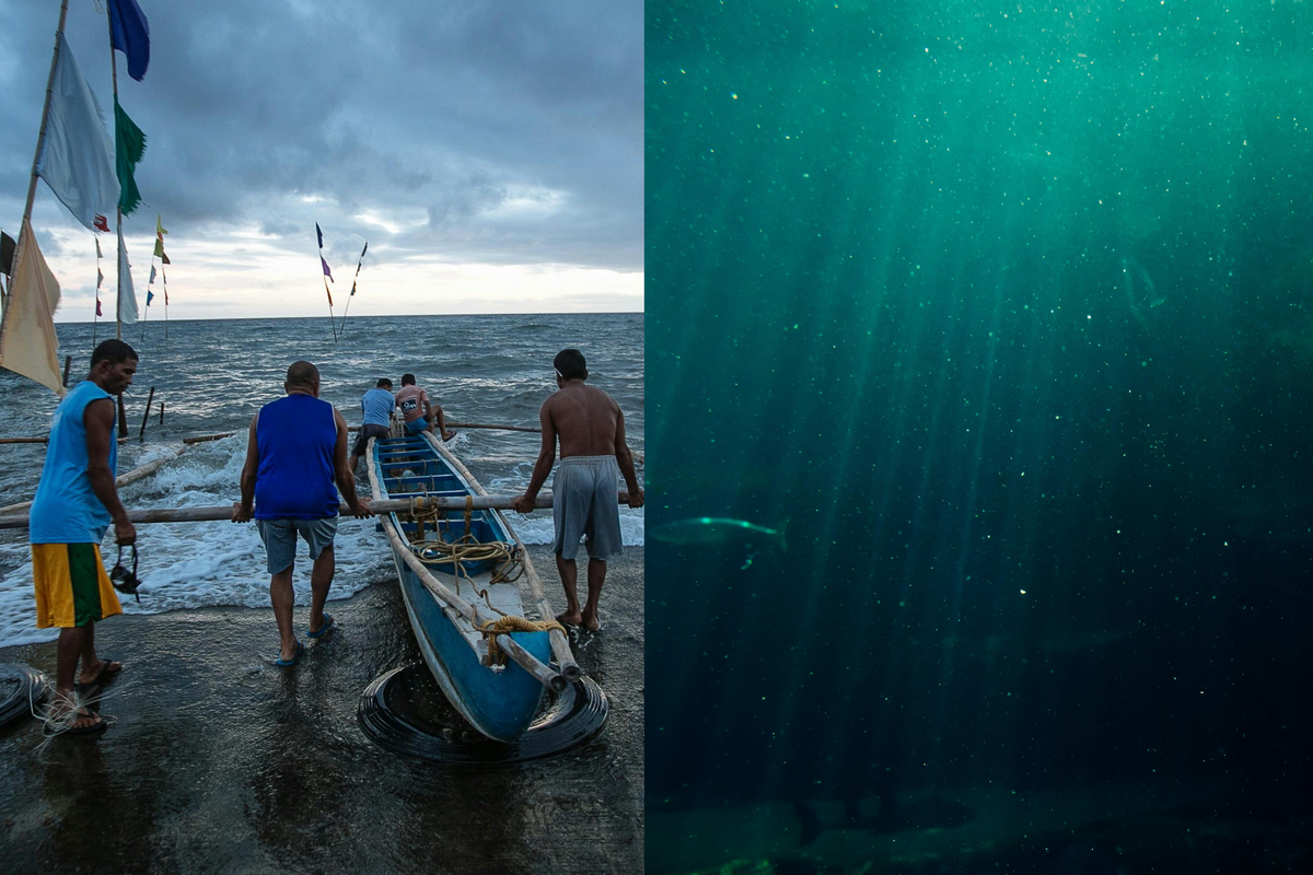 Fishermen capture eerie 'alien mermaid' footage in Puerto Rico