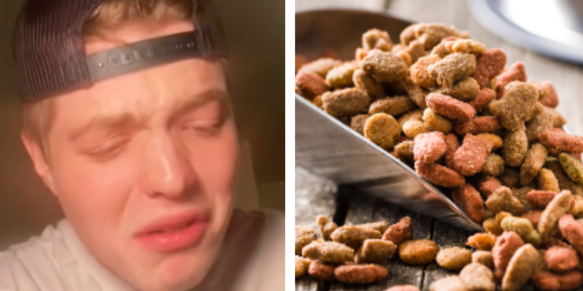 Can you 2024 eat dog food