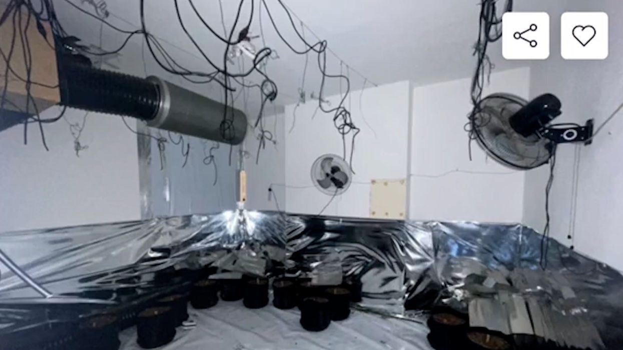 Flat including free cannabis farm up for sale in north London for over £275,000