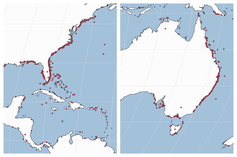 Map shows you where you are most likely to be attacked by sharks | indy100