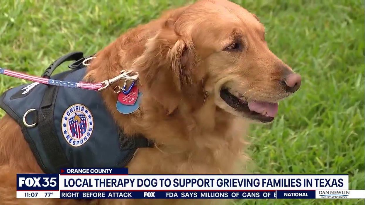 Therapy dogs sent to comfort the families of Texas shooting victims