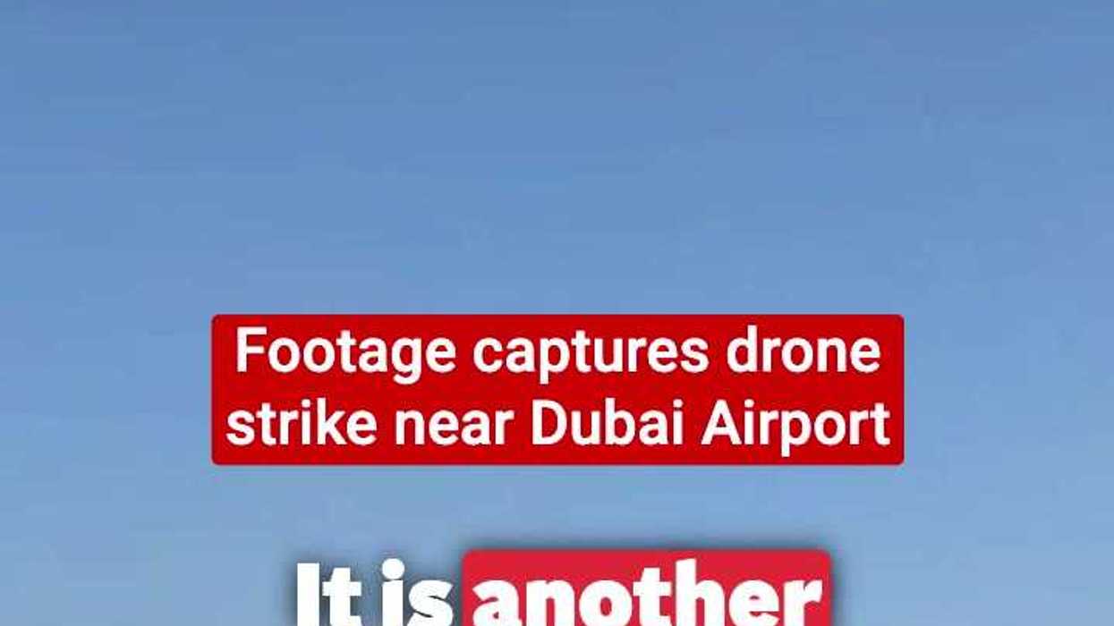 UAE organisations urge people to stop abandoning pets when leaving Dubai