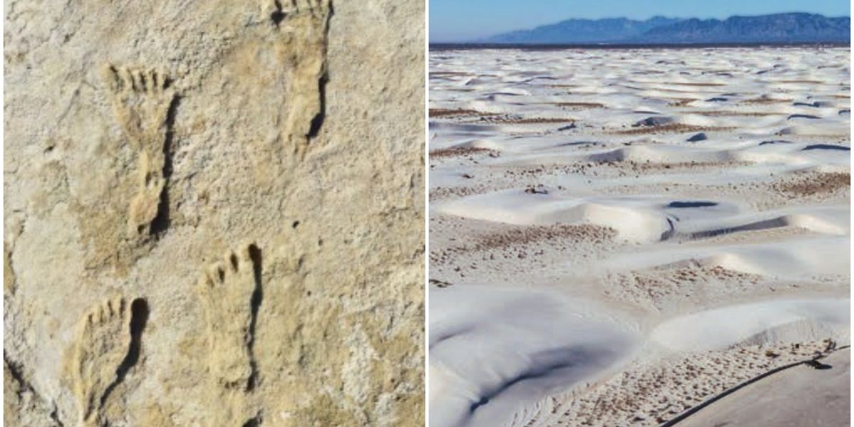 Footprints discovered in New Mexico rewrite American history