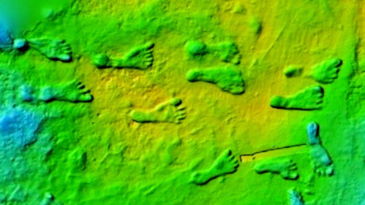 Footprints discovered in New Mexico rewrite American history