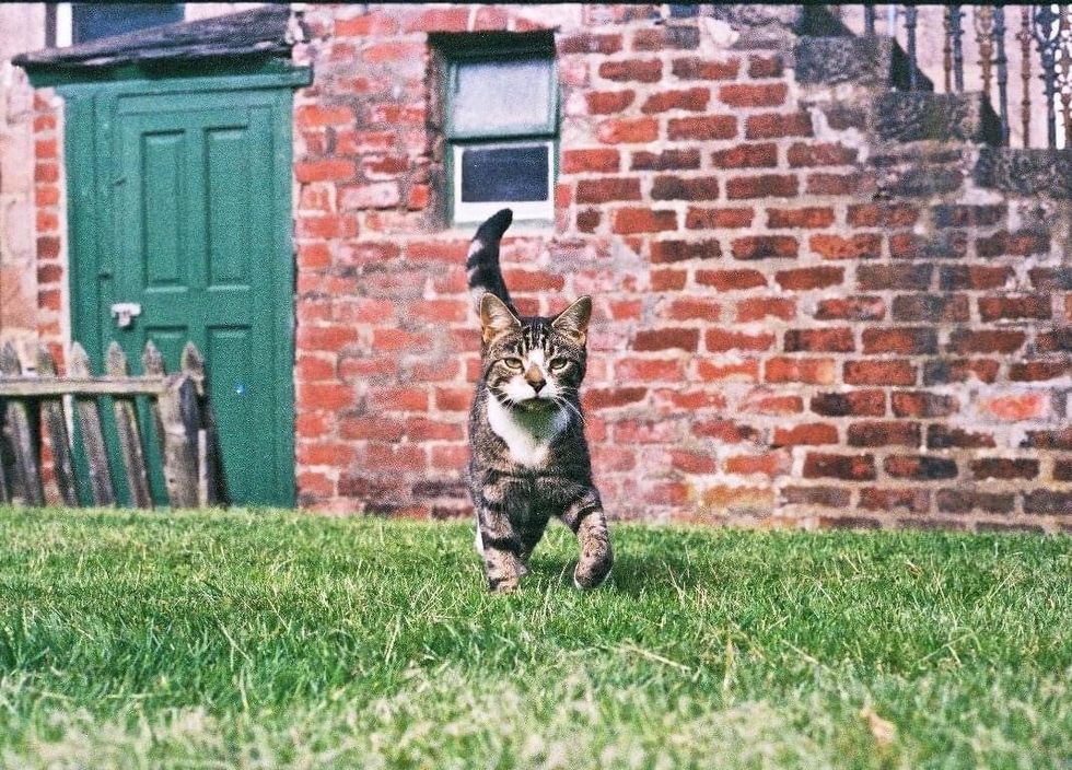 Forbes had been missing for over a decade (SSPCA)