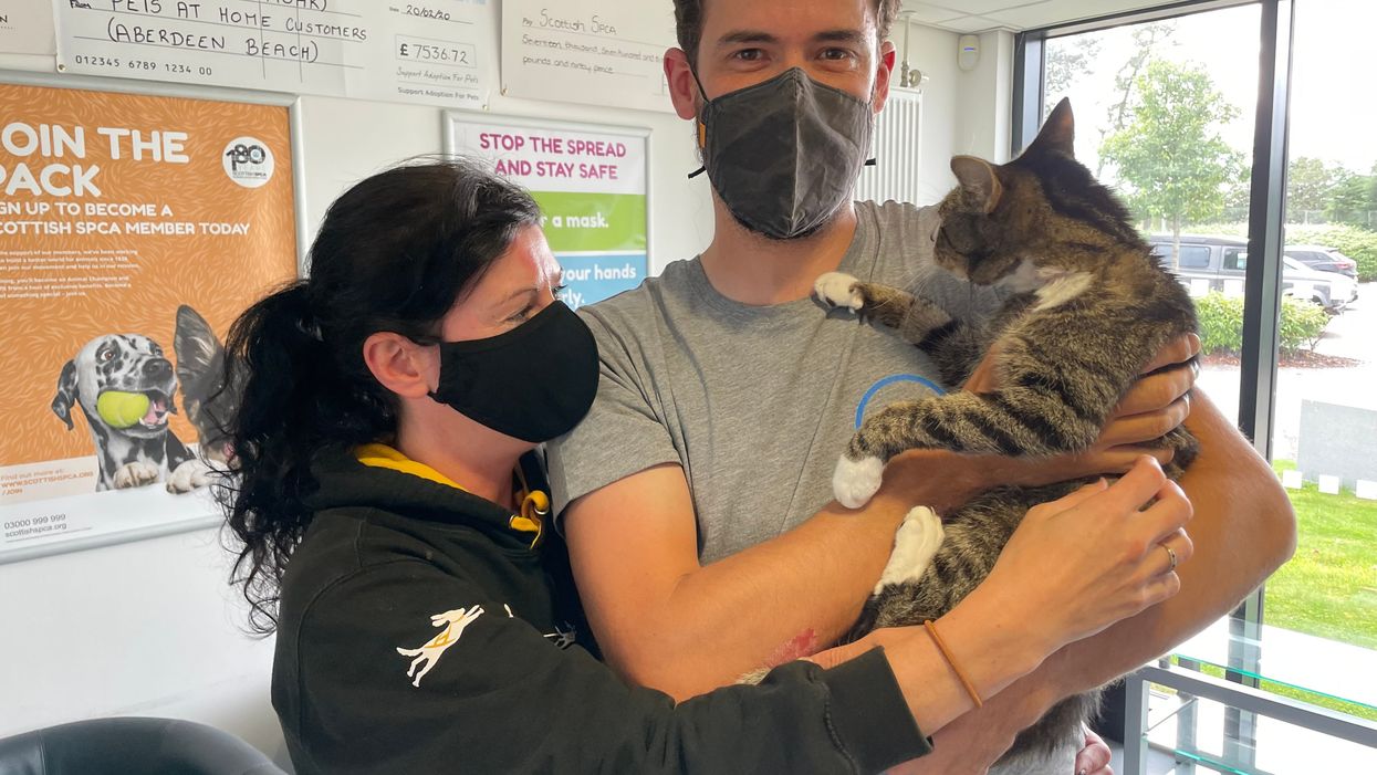 Forbes the cat is reunited with its owners after being reported missing 10 years ago (SSPCA)