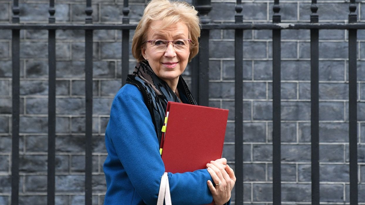 Former business secretary Andrea Leadsom given damehood