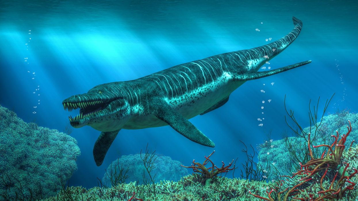 Fossil of enormous sea monster and 'ultimate killing machine' discovered by scientists