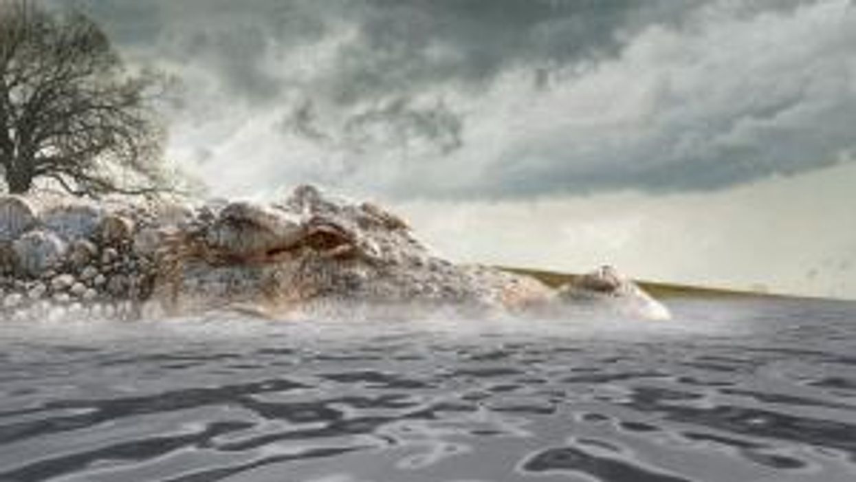 93 million year old crocodile found with baby dinosaur in its stomach