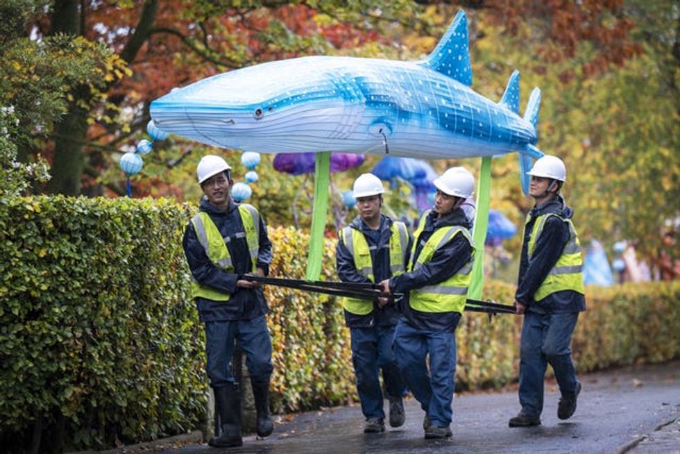Four workmen carrying a giant lantern in the image of a whale shark