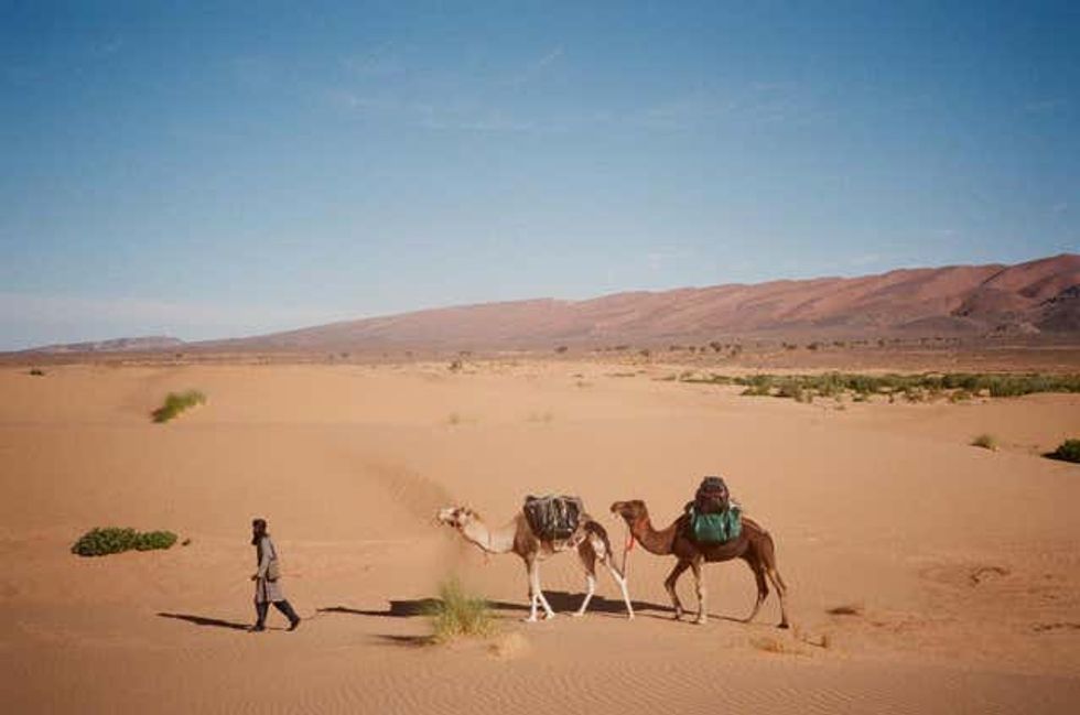 Fraser Wilson Sahara trek