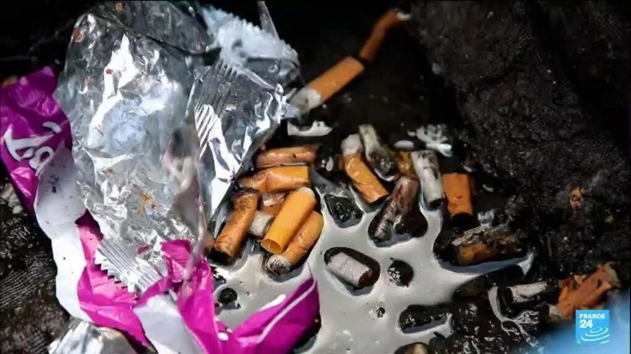 Birds in France trained to pick up cigarette butts in exchange for food