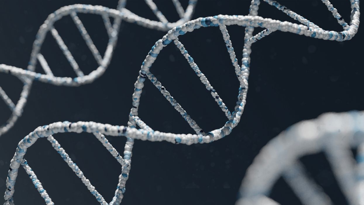 Frightening levels of incest exposed in US DNA tests