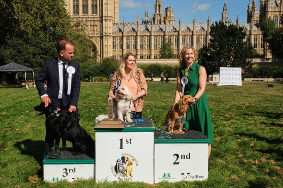 From left: James Daly wins third place with Bertie, Mims Davies wins first place with TJ and Anna McMorrin wins second place with Cadi