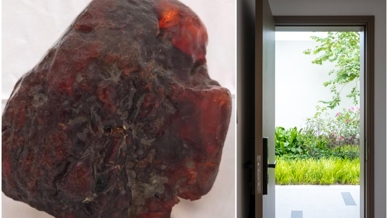 Amber Rok Rock used as doorstop by old lady turns out to be amber nugget worth $1 ...